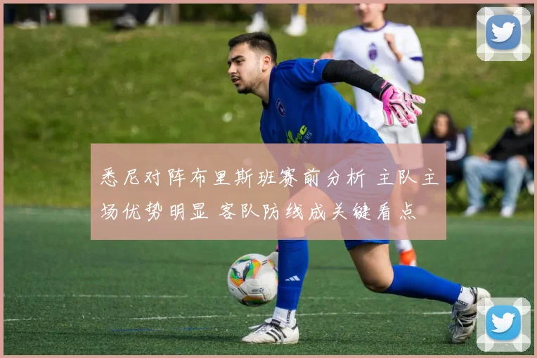 悉尼对阵布里斯班赛前分析 主队主场优势明显 客队防线成关键看点