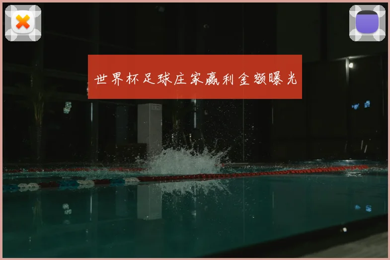 世界杯足球庄家赢利金额曝光