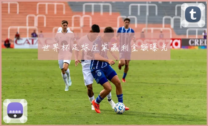 世界杯足球庄家赢利金额曝光