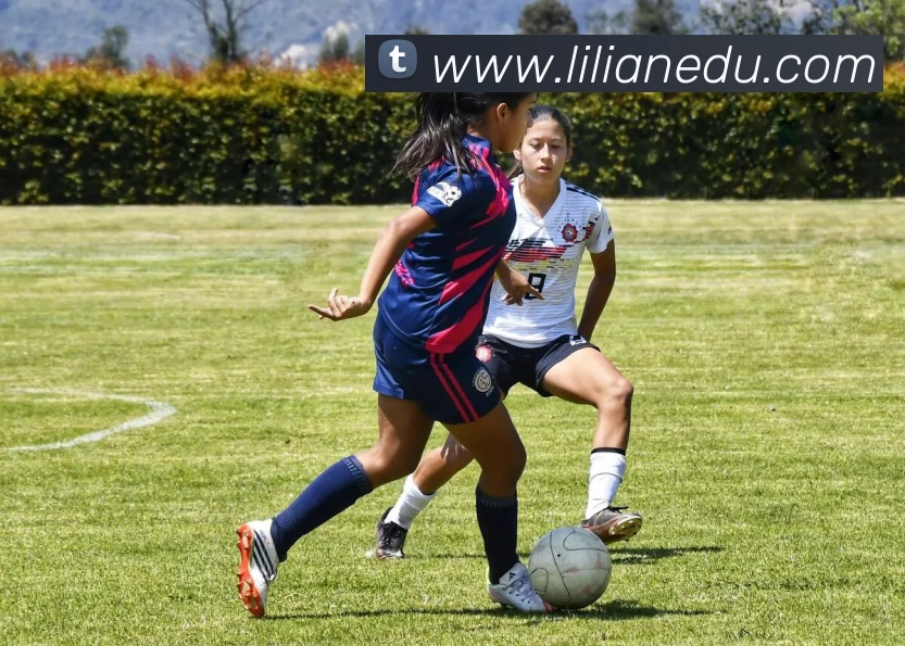 世界杯app平台品牌故事